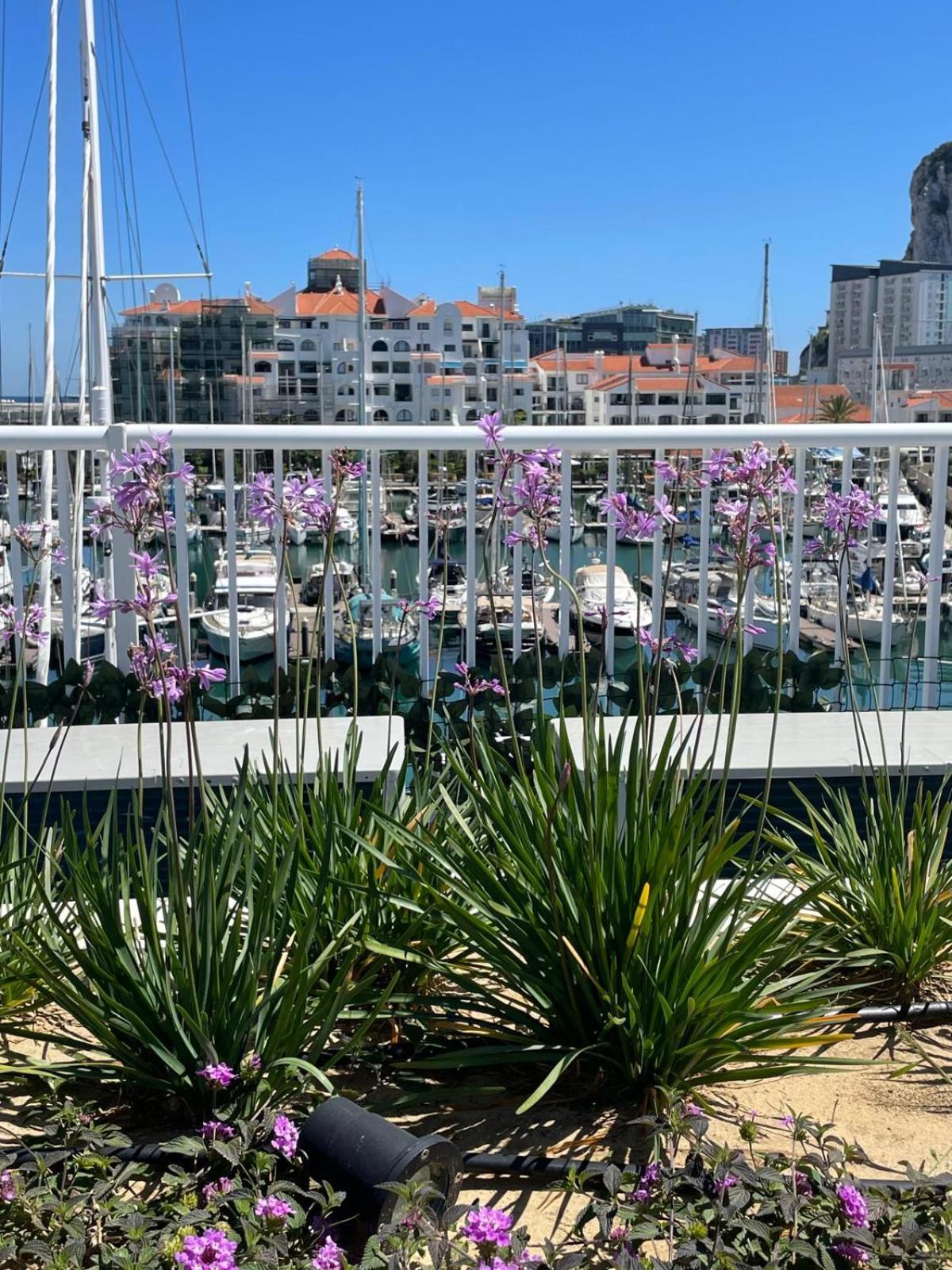 Marina Club Luxury Private Studio With Pool And Incredible Views Γιβραλτάρ Εξωτερικό φωτογραφία